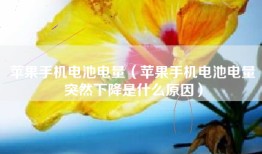 苹果手机电池电量（苹果手机电池电量突然下降是什么原因）
