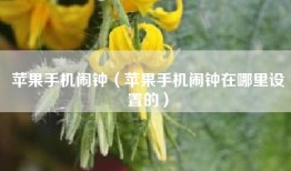 苹果手机闹钟（苹果手机闹钟在哪里设置的）