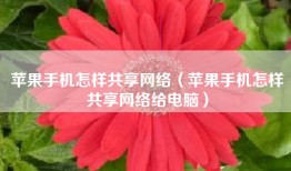 苹果手机怎样共享网络（苹果手机怎样共享网络给电脑）