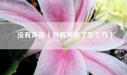 没有声音（没有声音了怎么办）