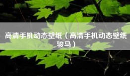 高清手机动态壁纸（高清手机动态壁纸骏马）