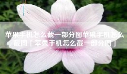 苹果手机怎么截一部分图苹果手机怎么截图「苹果手机怎么截一部分图」