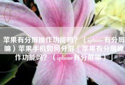 苹果有分屏操作功能吗？（iphone有分屏嘛）苹果手机如何分屏「苹果有分屏操作功能吗？（iphone有分屏嘛）」