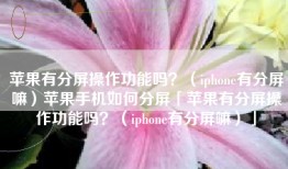 苹果有分屏操作功能吗？（iphone有分屏嘛）苹果手机如何分屏「苹果有分屏操作功能吗？（iphone有分屏嘛）」