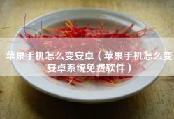 苹果手机怎么变安卓（苹果手机怎么变安卓系统免费软件）