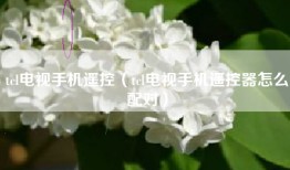 tcl电视手机遥控（tcl电视手机遥控器怎么配对）