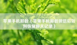 苹果手机卸载（苹果手机卸载微信后如何恢复聊天记录）