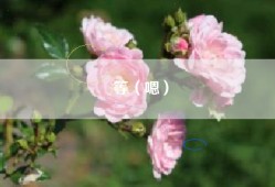 等（嗯）