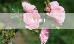 等（嗯）