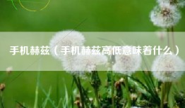 手机赫兹（手机赫兹高低意味着什么）