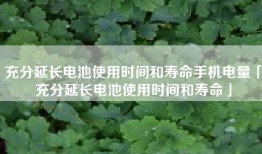 充分延长电池使用时间和寿命手机电量「充分延长电池使用时间和寿命」