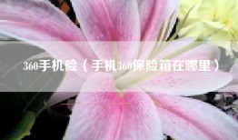 360手机险（手机360保险箱在哪里）