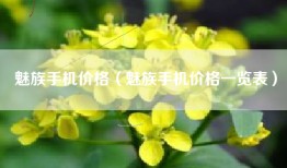 魅族手机价格（魅族手机价格一览表）