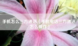 手机怎么三方通话（手机电话三方通话 怎么操作）