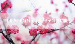 手机电子商务（手机电子商务功能）