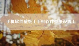 手机软件壁纸（手机软件壁纸设置）