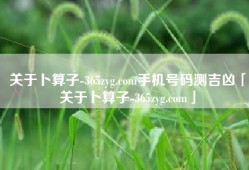 关于卜算子-365zyg.com手机号码测吉凶「关于卜算子-365zyg.com」