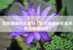 如何查询手机串码（如何查询手机串码有没有被标记）