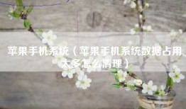 苹果手机系统（苹果手机系统数据占用太多怎么清理）