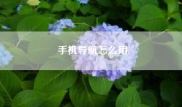 手机导航怎么用