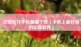 记账软件手机版哪个好（手机上最好用的记账软件）
