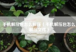 手机解压包怎么解压（手机解压包怎么解压文件）