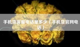 手机贷客服电话是多少（手机贷官网电话）