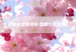 传承雷锋精神 情暖三月墨城