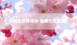 传承雷锋精神 情暖三月墨城