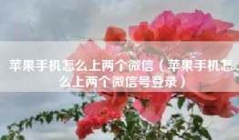 苹果手机怎么上两个微信（苹果手机怎么上两个微信号登录）