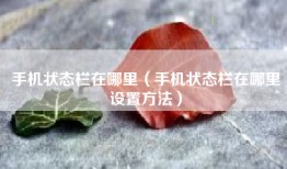 手机状态栏在哪里（手机状态栏在哪里设置方法）