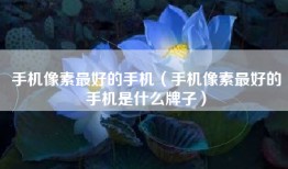 手机像素最好的手机（手机像素最好的手机是什么牌子）