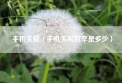 手机关税（手机关税税率是多少）