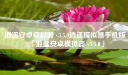 逍遥安卓模拟器 v3.5.0逍遥模拟器手机版「逍遥安卓模拟器 v3.5.0」