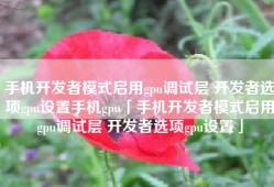 手机开发者模式启用gpu调试层 开发者选项gpu设置手机gpu「手机开发者模式启用gpu调试层 开发者选项gpu设置」