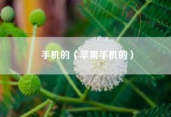 手机的（苹果手机的）