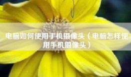 电脑如何使用手机摄像头（电脑怎样使用手机摄像头）