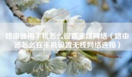 路由器用手机怎么设置无线网络（路由器怎么在手机设置无线网络连接）