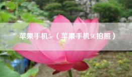 苹果手机5c（苹果手机5C拍照）
