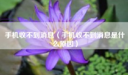 手机收不到消息（手机收不到消息是什么原因）