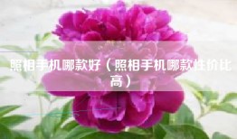 照相手机哪款好（照相手机哪款性价比高）