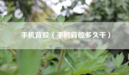 手机背胶（手机背胶多久干）