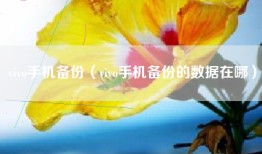 vivo手机备份（vivo手机备份的数据在哪）