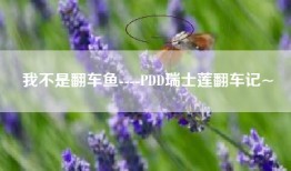 我不是翻车鱼----PDD瑞士莲翻车记~