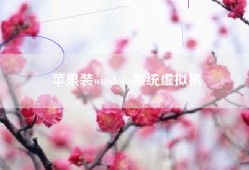 苹果装windows系统虚拟机