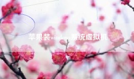 苹果装windows系统虚拟机