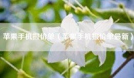 苹果手机报价单（苹果手机报价单最新）