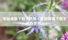 电脑桌面下载手机版（电脑桌面下载手机版免费）