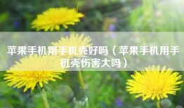 苹果手机用手机壳好吗（苹果手机用手机壳伤害大吗）