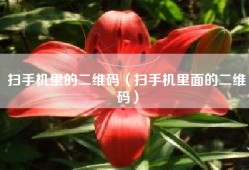 扫手机里的二维码（扫手机里面的二维码）